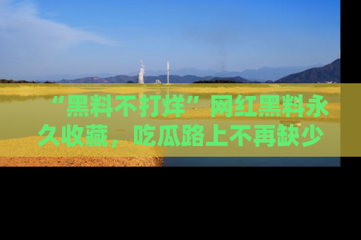 “黑料不打烊”网红黑料永久收藏，吃瓜路上不再缺少惊喜与乐趣