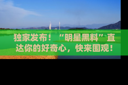 独家发布！“明星黑料”直达你的好奇心，快来围观！