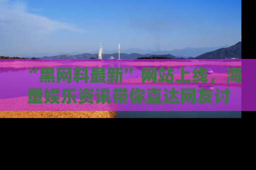 “黑网料最新”网站上线，海量娱乐资讯带你直达网友讨论的中心！