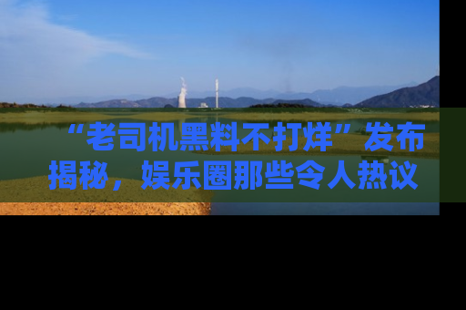 “老司机黑料不打烊”发布揭秘，娱乐圈那些令人热议的黑暗秘密！