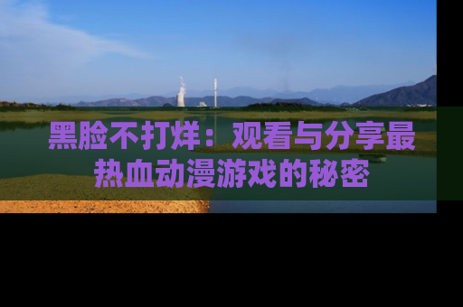 黑脸不打烊：观看与分享最热血动漫游戏的秘密