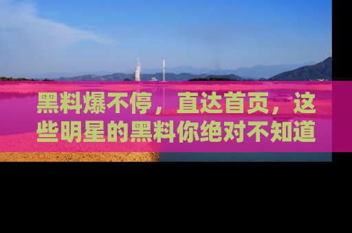 黑料爆不停，直达首页，这些明星的黑料你绝对不知道！