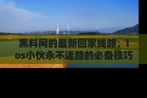 黑料网的最新回家线路，ios小伙永不迷路的必备技巧！