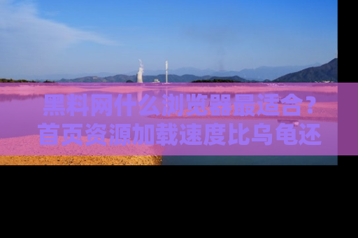 黑料网什么浏览器最适合？首页资源加载速度比乌龟还慢的体验真心吐槽！