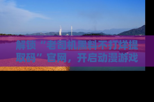 解锁“老司机黑料不打烊提取码”官网，开启动漫游戏的新次元之旅！