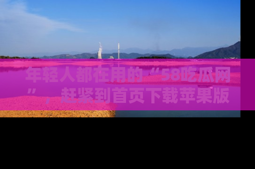 年轻人都在用的“58吃瓜网”，赶紧到首页下载苹果版吧！