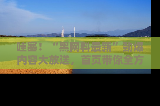 哇塞！“黑网料最新”劲爆内容大放送，首页带你全方位了解哦，小可爱们