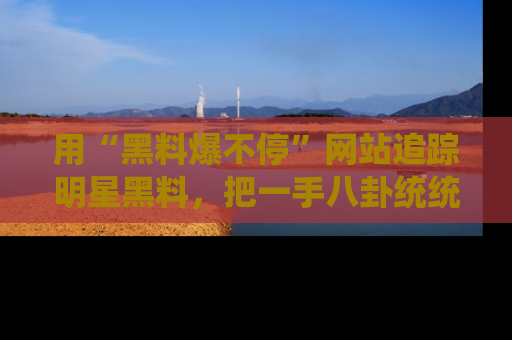 用“黑料爆不停”网站追踪明星黑料，把一手八卦统统收进你的后宫中！