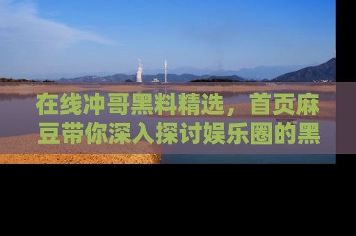 在线冲哥黑料精选,首页麻豆带你深入探讨娱乐圈的黑暗面