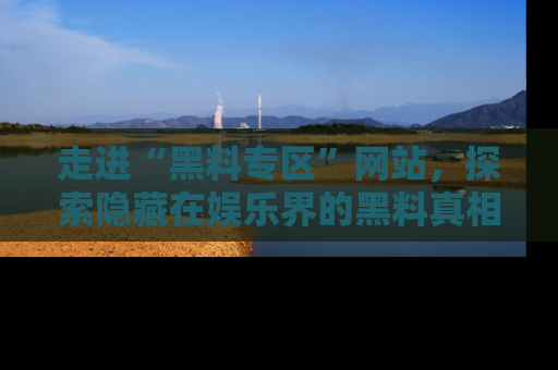 走进“黑料专区”网站，探索隐藏在娱乐界的黑料真相